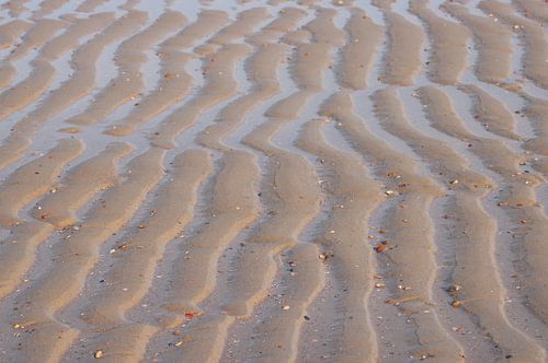 Sporen van de zee