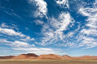 entlang des Weges in Namibia von Ed Dorrestein Miniaturansicht