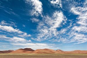 langs de weg in namibië van Ed Dorrestein