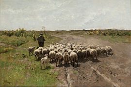 Changing Pasture, Anton Mauve