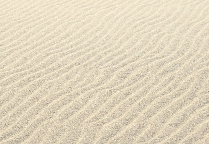 Beach sand (Netherlands) by Marcel Kerdijk