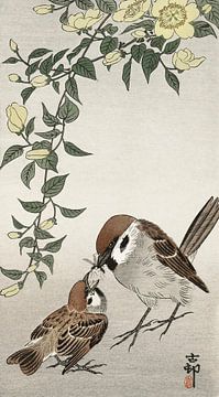 Birds and plants (1900 - 1936) by Ohara Koson van Studio POPPY