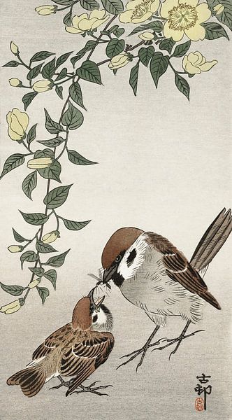 Birds and plants (1900 - 1936) by Ohara Koson by Studio POPPY
