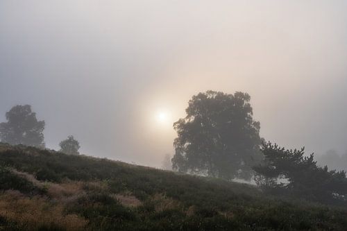 Lande de Wolfhezer partie 1