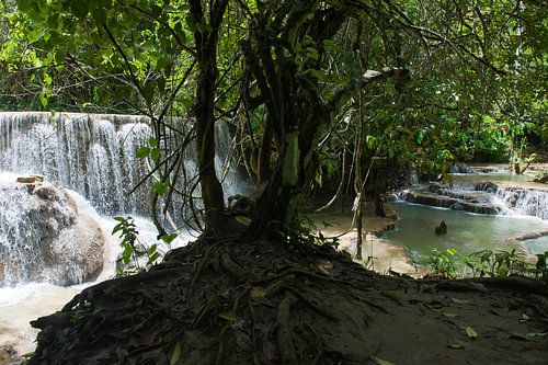Kouang Si Waterfall