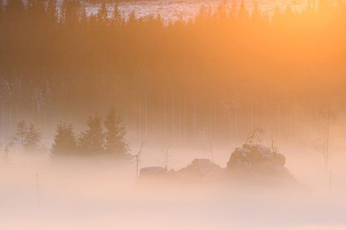 Mäuseklippe Schierke. von Rens Zwanenburg