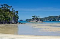 Torrent Bay - Neusseeland
