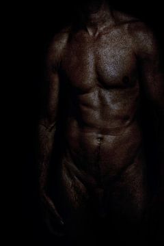 male torso by Frank Hertoch