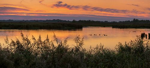 Avond in Groningen Panorama