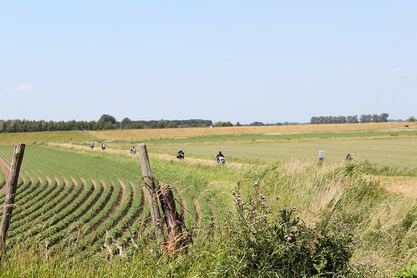 uitzicht over de weilanden by Danielle Vd wegen