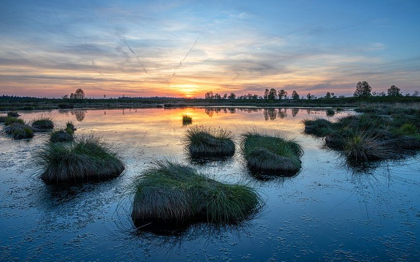 Brackvenn, Hohes Venn, Belgien von Alexander Ludwig