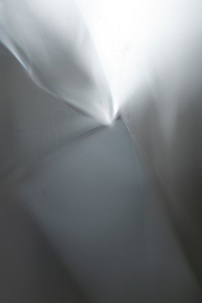 Abstract by Jamie Elbersen
