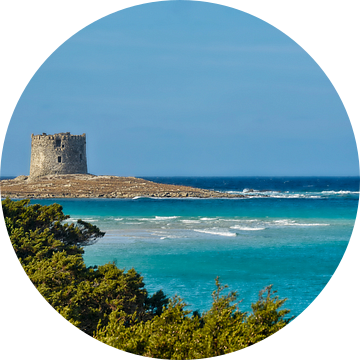 La Pelosa van Claudia Moeckel