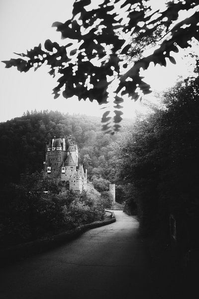 Mittelalterliche Burg in Schwarz und Weiß | Deutschland | Romantik | Fototapete von Laura Dijkslag