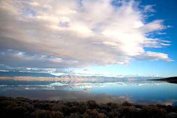 Antelope Island, Great Salt Lake van Esther Eberwijn