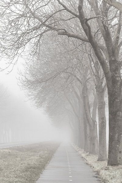 Fog by Marieke Deinum