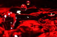 Red drops van Leon Weggelaar thumbnail