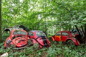 Volkswagen beetle by William Linders