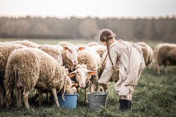 Schafe von Elke De Proost