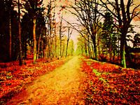 Winsen Luhe - natuurreservaat Hohes Holz - aquarelleren
