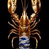 Lobster Luxe Noir – Homard doré avec bleu de Delft sur Marianne Ottemann - OTTI