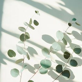 Eucalyptus shade by Poster Art Shop