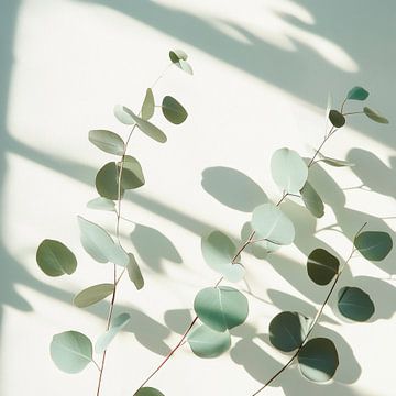 Eucalyptus shade by Poster Art Shop