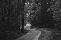 Eine Straße durch die Drunense Dünen Kaatsheuvel