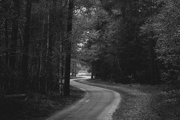 Eine Straße durch die Drunense Dünen Kaatsheuvel von Rudy Tunderman