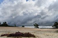 Nuages menaçants au-dessus du Sahara, Ommen