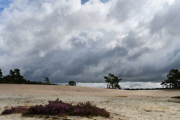 Threatening clouds above the Sahara, Ommen by Bernard van Zwol