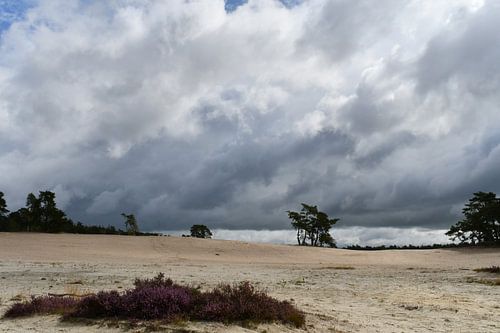 Dreigende wolken boven de Sahara, Ommen