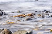 La pierre dans l'eau