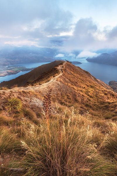 Nieuw-Zeeland Wanaka Roy's Peak van Jean Claude Castor