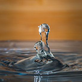 Goutte d'eau sur Ron Jobing