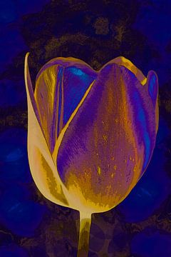 Tulp in Delfts blauw en Koper Goud. van Alie Ekkelenkamp