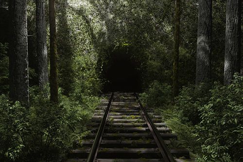 Verlaten natuurlijke tunnel met sporen bedekt met mos en omringd door struiken