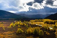 The autumn valley