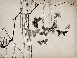 Minimalistische Oosterse Vintage prent met Vlinders