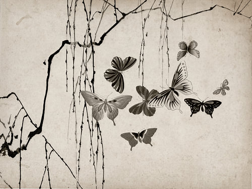 Minimalist Oriental vintage print featuring butterflies