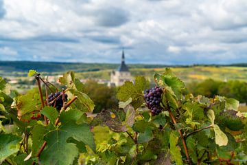 Ansicht eines Dorfes in der französischen Champagne mit Trauben im Vordergrund von Ivo de Rooij