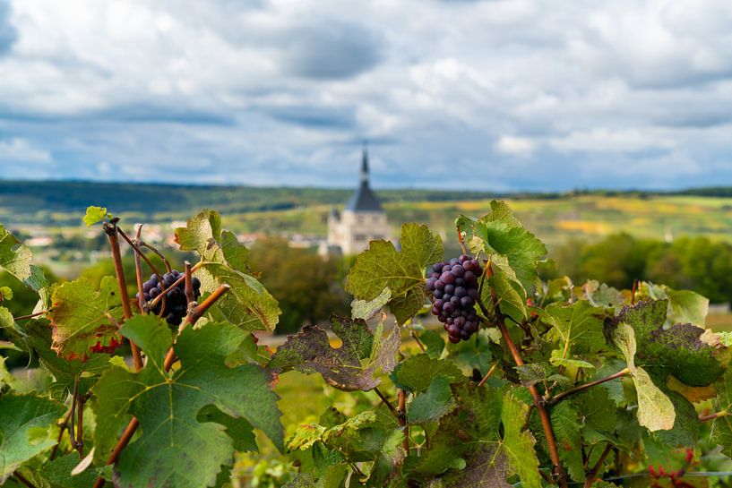Zicht op dorp in de Champagne streek in Frankrijk met in de voorgrond druiven van Ivo de Rooij