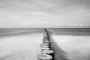 Abstract & Minimalimus
