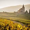 De kerk van Hunawihr in herfstlicht van Michiel Mulder