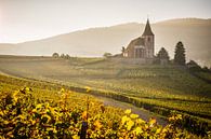 Hunawihr church in autumn light by Michiel Mulder thumbnail