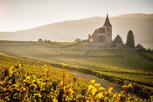 L'église de Hunawihr dans la lumière d'automne