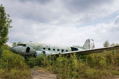 Abandoned military aircraft wreckage Dakota