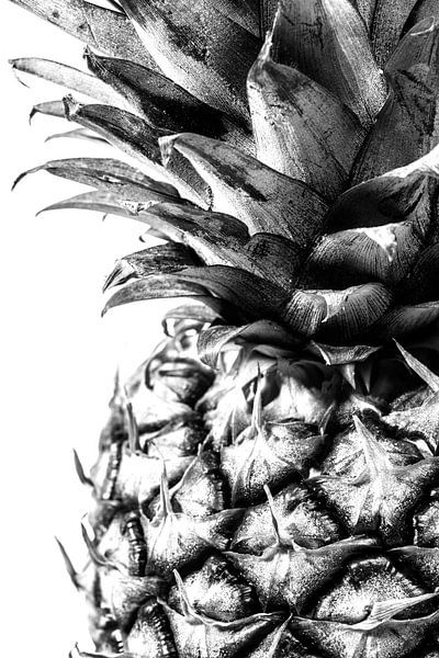 Close up of a pineapple by MirjamCornelissen - Fotografie
