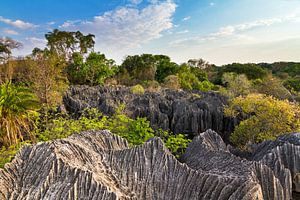 Petit Tsingy Madagaskar