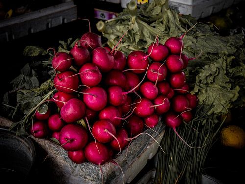 Radieschen von Eline Oostingh